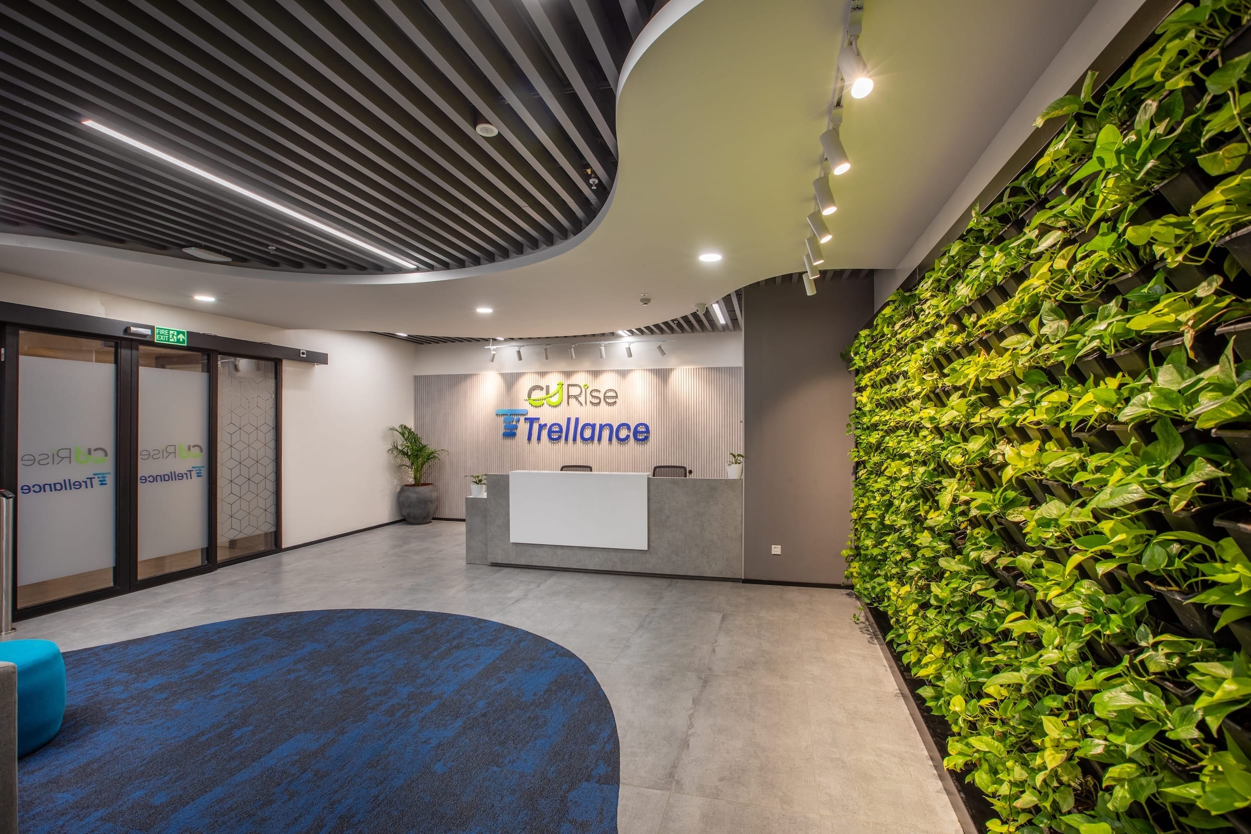 CU Rise Analytics (Trellance)